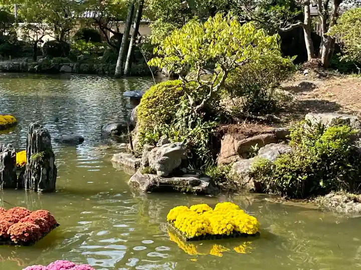 太宰府天満宮(福岡県)