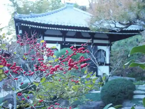 長谷寺の建物その他