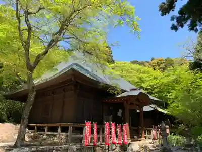 普門寺(切り絵御朱印発祥の寺)の本殿・本堂