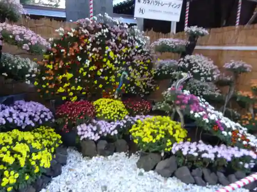 湯島天満宮の庭園