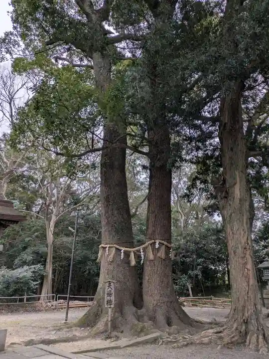 男神社(大阪府)