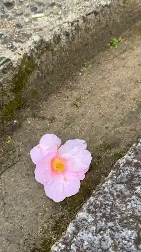 和氣神社（和気神社）(岡山県)
