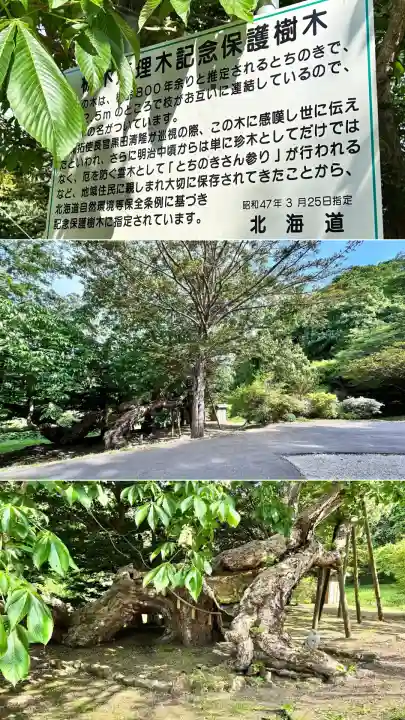 橡木山白木神社(北海道)