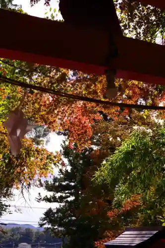 鼻顔稲荷神社(長野県)