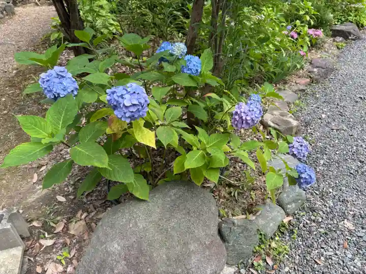 頼光寺(兵庫県)
