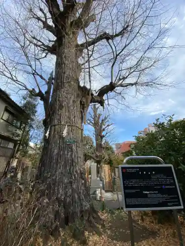 幸國寺の{uncategorized: "未分類", other: "その他", undefined: "問題あり", building: "その他建物", grave: "お墓", sacred_gate: "鳥居", guardian: "狛犬", statue: "像", buddha: "仏像", history: "歴史", nature: "自然", garden: "庭園", animal: "動物", pagoda: "塔", temizu: "手水舎", mountain_gate: "山門・神門", sanctuary: "本殿・本堂", subordinate: "末社・摂社", art: "芸術", scenery: "景色", jizo: "地蔵", ema: "絵馬", goshuin: "御朱印", omikuji: "おみくじ", items: "授与品その他", amulet: "お守り", goshuincho: "御朱印帳", eats: "食事", festival: "お祭り", votive_dance: "神楽", shichigosan: "七五三参", wedding: "結婚式", experience: "体験その他", initially: "初詣", around: "周辺", anti_infection: "感染症対策"}