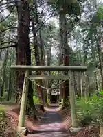 青山神社の鳥居