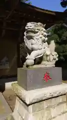 天満神社の狛犬