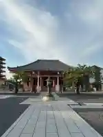 津観音の{uncategorized: "未分類", other: "その他", undefined: "問題あり", building: "その他建物", grave: "お墓", sacred_gate: "鳥居", guardian: "狛犬", statue: "像", buddha: "仏像", history: "歴史", nature: "自然", garden: "庭園", animal: "動物", pagoda: "塔", temizu: "手水舎", mountain_gate: "山門・神門", sanctuary: "本殿・本堂", subordinate: "末社・摂社", art: "芸術", scenery: "景色", jizo: "地蔵", ema: "絵馬", goshuin: "御朱印", omikuji: "おみくじ", items: "授与品その他", amulet: "お守り", goshuincho: "御朱印帳", eats: "食事", festival: "お祭り", votive_dance: "神楽", shichigosan: "七五三参", wedding: "結婚式", experience: "体験その他", initially: "初詣", around: "周辺", anti_infection: "感染症対策"}