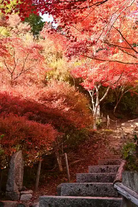 常樂寺(滋賀県)