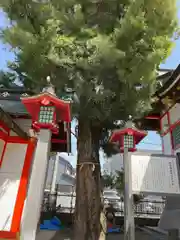 御嶽神社の自然