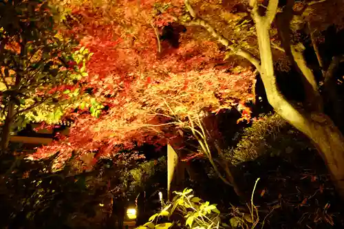 長谷寺(神奈川県)