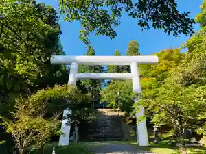 土津神社|こどもと出世の神さまの鳥居(2020年10月02日(金) 14時47分55秒投稿)