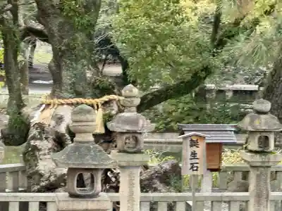 住吉大社(大阪府)