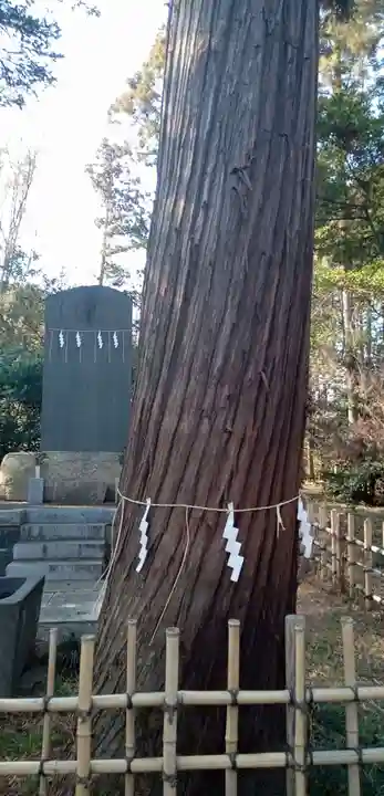 廣幡八幡宮の自然