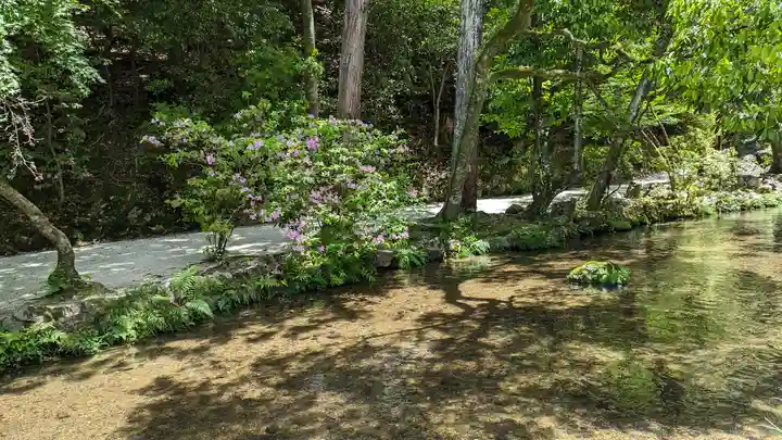 賀茂別雷神社(上賀茂神社)(京都府)