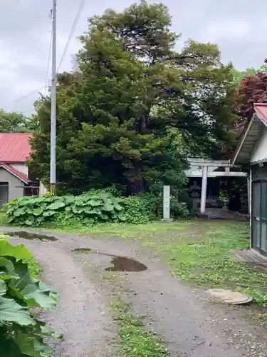 菜洗神社の鳥居