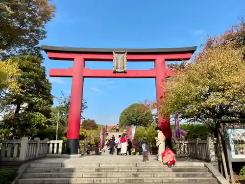 亀戸天神社(東京都)