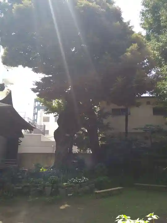 大森山王日枝神社(東京都)