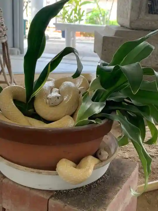 岩国白蛇神社のその他建物