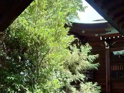 溝旗神社（肇國神社）(岐阜県)