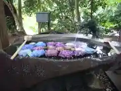 鷲子山上神社の手水