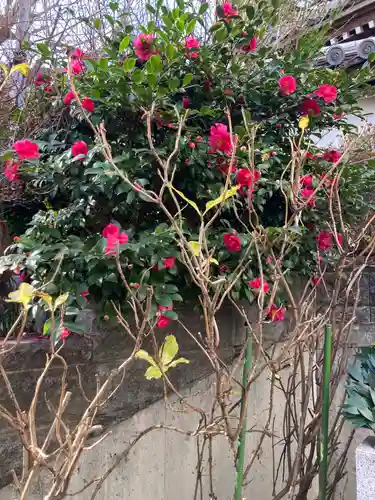 弘明寺稲荷大明神(神奈川県)