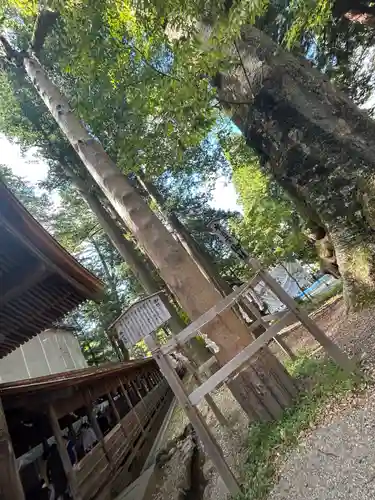 諏訪大社(長野県)