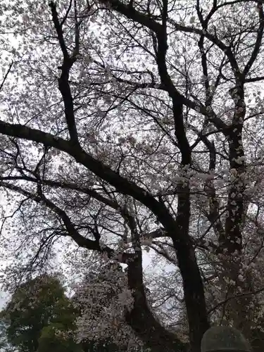 気比神社(福井県)