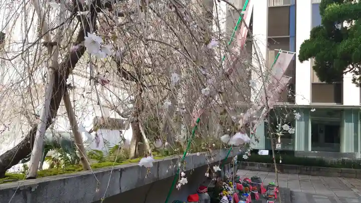 頂法寺(六角堂)の自然