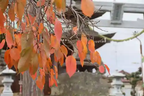 熊野福藏神社の自然