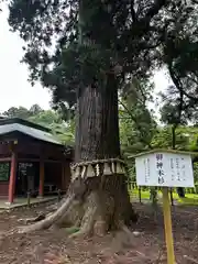 志波彦神社・鹽竈神社(宮城県)