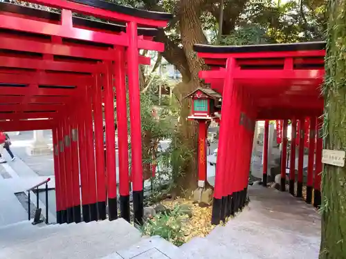 乃木神社の鳥居