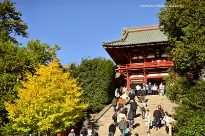 鶴岡八幡宮の本殿・本堂