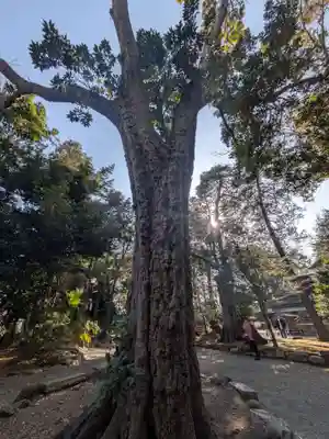 世田谷八幡宮(東京都)