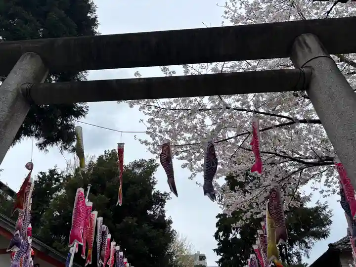 くまくま神社(導きの社 熊野町熊野神社)(東京都)