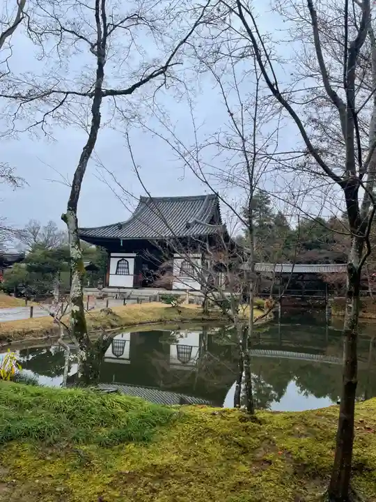 高台寺(高台寿聖禅寺・高臺寺)(京都府)