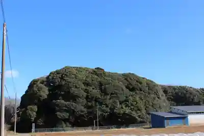 猿田神社(千葉県)