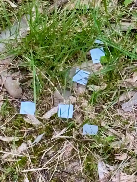 蚊里田八幡宮(長野県)