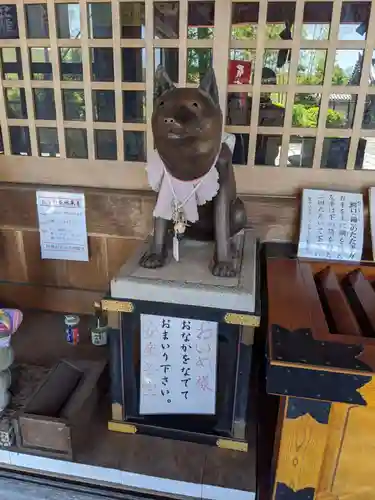 地泉院の狛犬