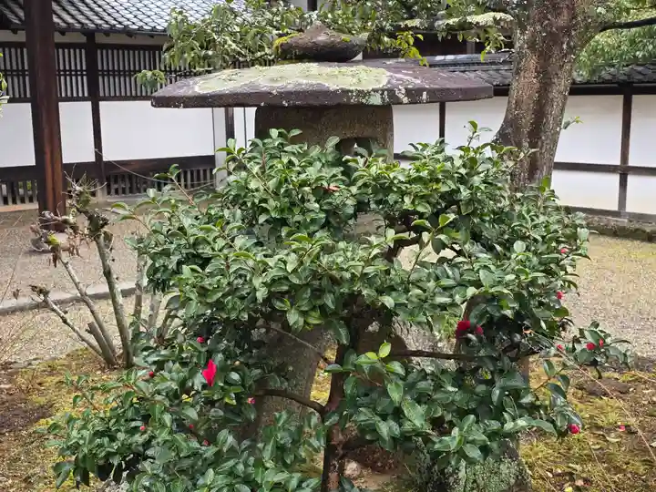 中宮寺(奈良県)