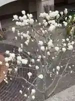 雪御所地蔵尊(兵庫県)