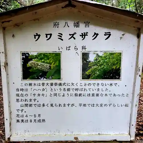 府八幡宮(静岡県)