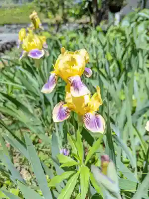 惠心院(京都府)