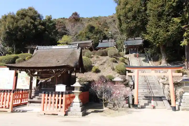 白鬚神社(滋賀県)