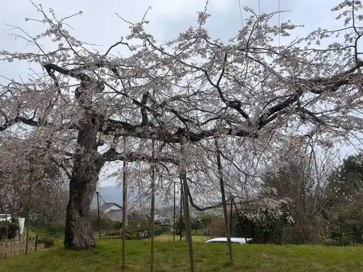 南明寺(山口県)