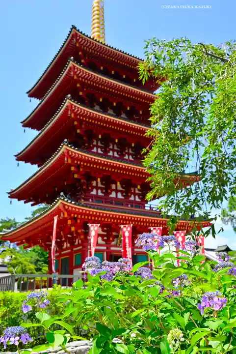 高幡不動尊 金剛寺(東京都)