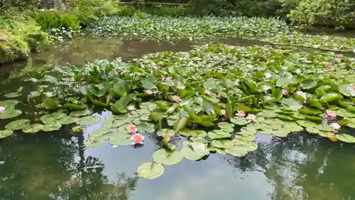 金澤神社の庭園