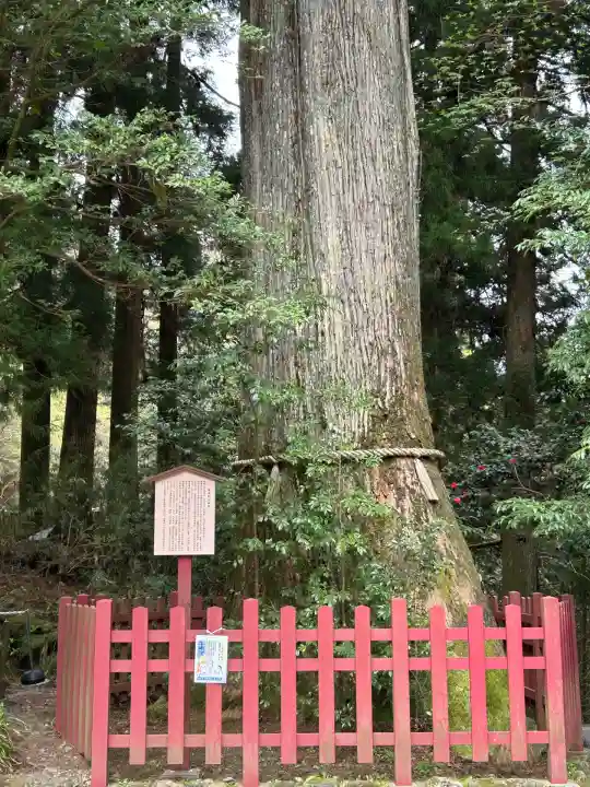 箱根神社(神奈川県)