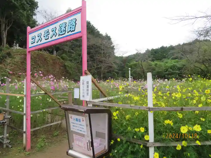 安倍文殊院 (奈良県)